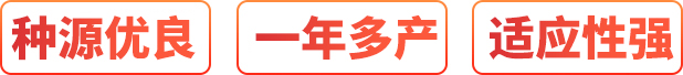 廠家直銷、按需定制、價格優惠