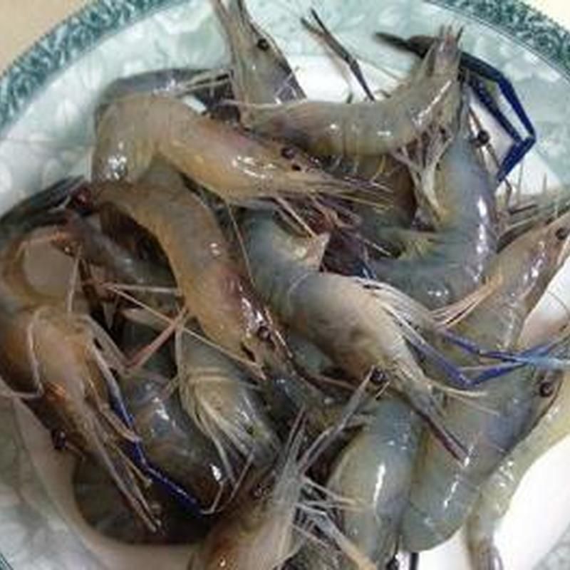 客戶案例