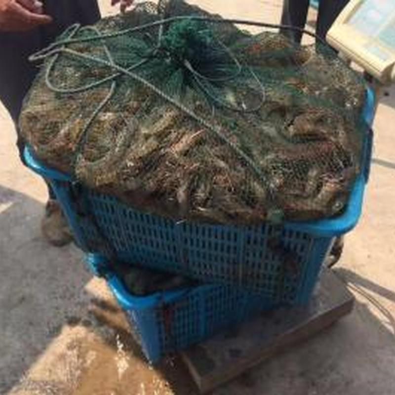 客戶案例