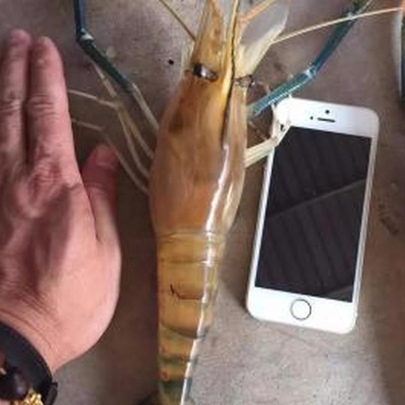 客戶案例